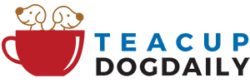Teacup Dog Daily